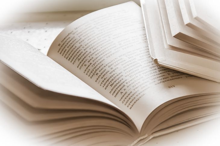 Непереводимое русское слово: оно ставит иностранцев в тупик книги