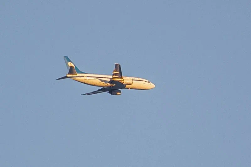 Валерий Меладзе и Альбина Джанабаева вернулись в Россию Самолет