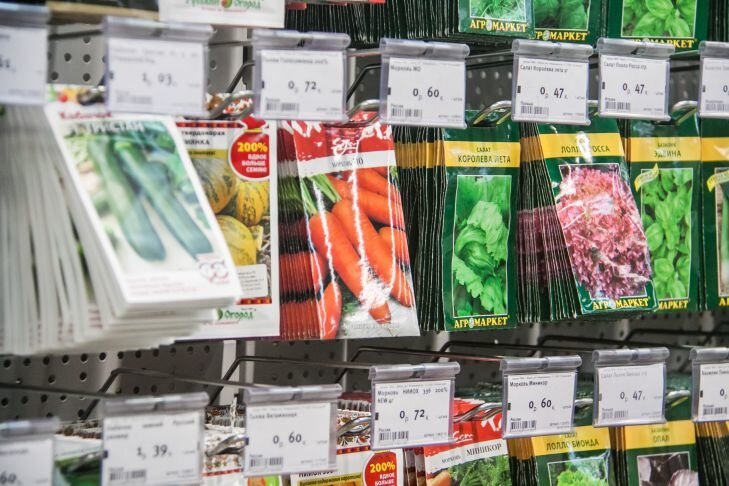 Дачникам назвали лучшие сорта моркови для посева в 2025 году: хорошо хранятся и отменный вкус Семена