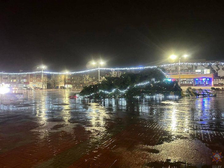 Падение новогодней елки, сорванные крыши. Вот что ветер наделал в Гомельской области елка