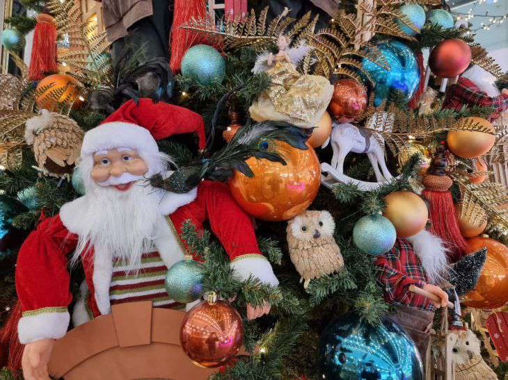 Есть ли места в санаториях на Новый год? Рассказал Болбатовский елка