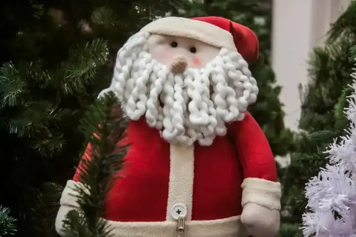 Пенсионер из Канады собрал самую большую в мире коллекцию Санта-Клаусов: ее размеры впечатляют Санта-Клаус