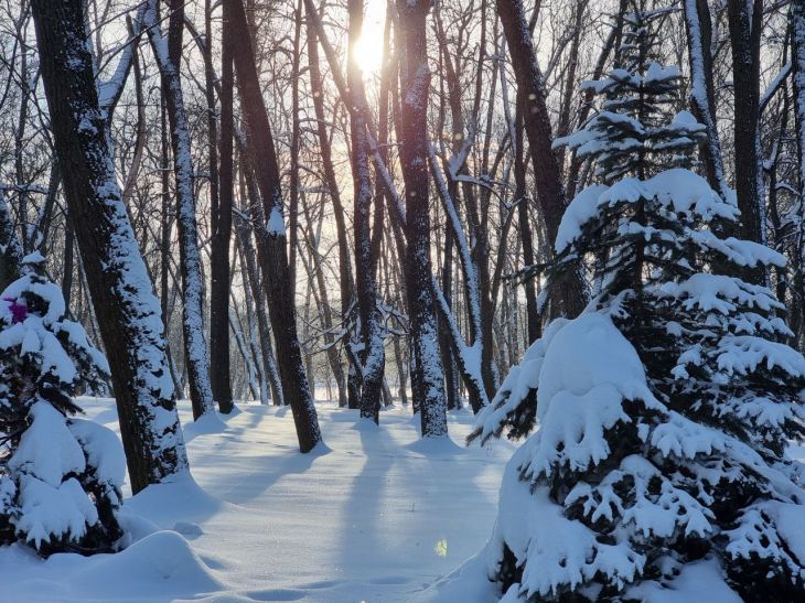 Какой будет зима в Беларуси? Дмитрий Рябов дал предварительный прогноз зима