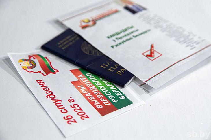 В ЦИК рассказали, в каких случаях избиратели могут проголосовать не по месту регистрации паспорт