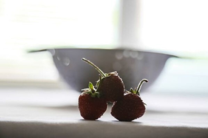 5 растений, которые клубника обожает: узнайте о совместных посадках раньше соседей Клубника