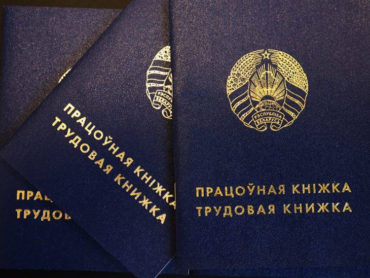 В Минтруда рассказали о действенных способах найти работу трудовая книжка