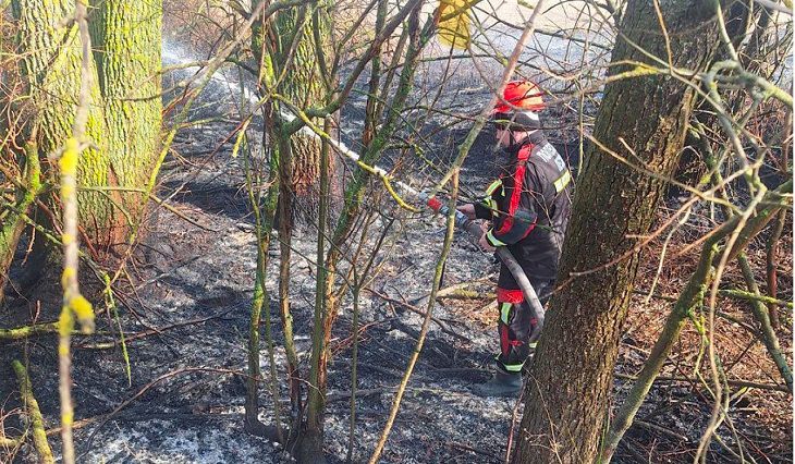 До 30 базовых. Белорусам напомнили о штрафах за пал сухой растительности лес