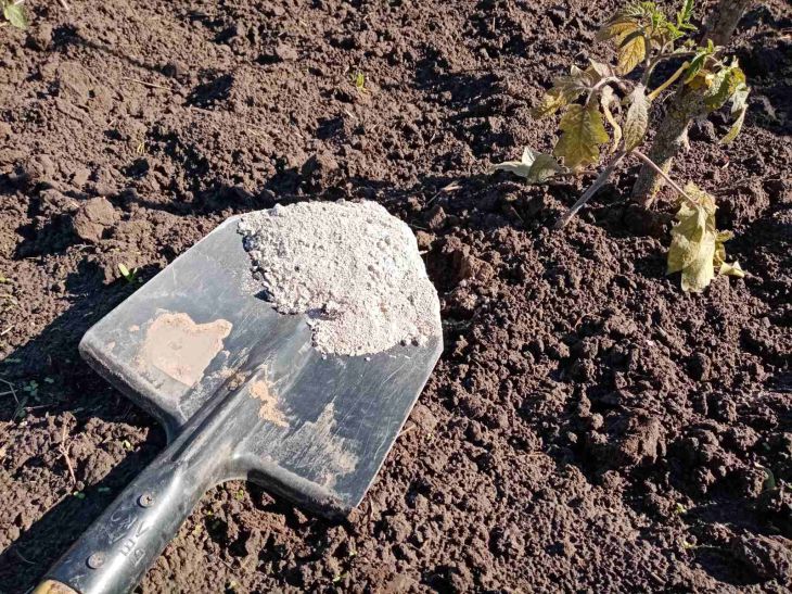 Этот лайфхак с золой утроит урожай моркови: проверьте сами зола