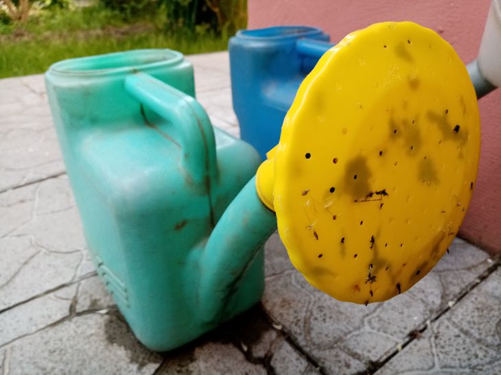 Как поливать огород в два раза реже и собирать вдвое больше овощей Лейка