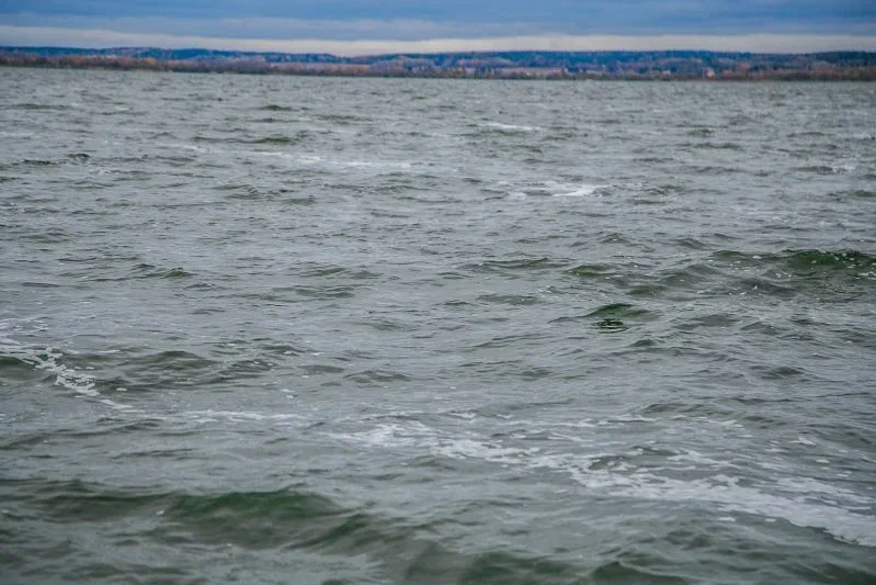 Это создание скрывало свой секрет 200 лет: кто и как его раскрыл Вода