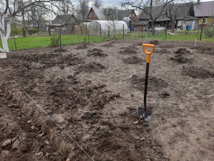 Зачем опытные дачники поливают грядки кипятком? Узнаете – сами так будете делать грядки