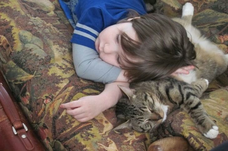 Сделайте это заранее: о чём нужно подумать перед тем, как купить ребенку домашнее животное Кот