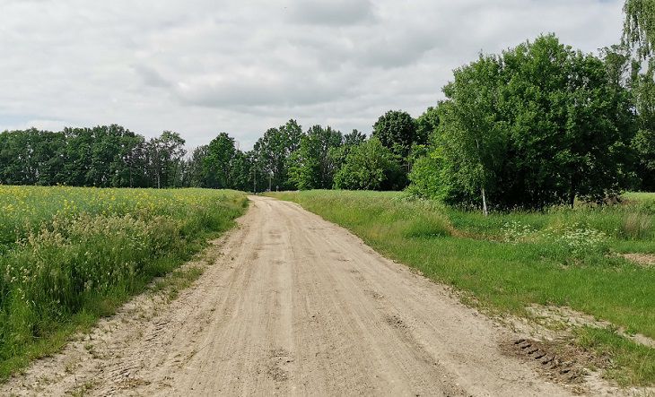 Лето будет сухим или дождливым? Погодные приметы на 29 апреля 2025 года лето