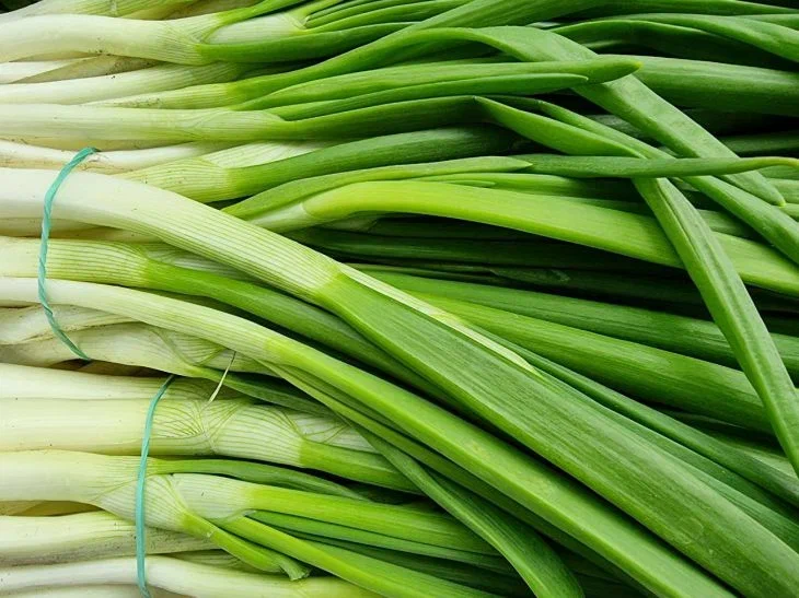 Зеленый лук