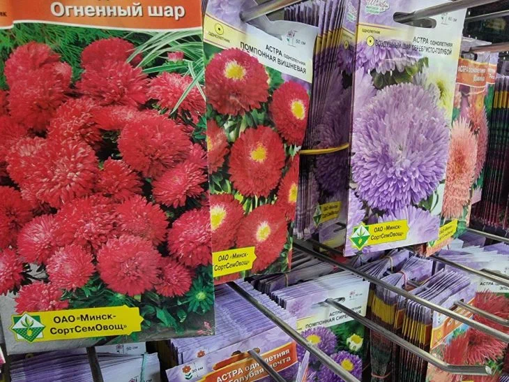 Семена цветов