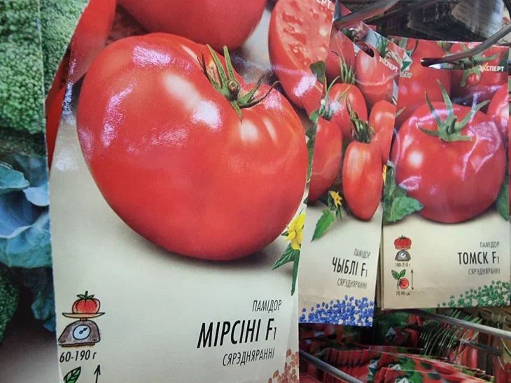 Почему семена томатов отказываются всходить: скорее всего, причина в этом Семена