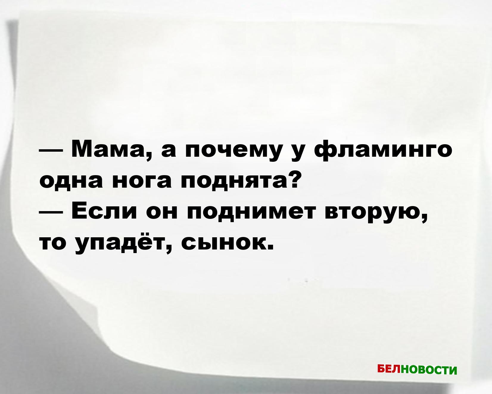 Смешные анекдоты и юмор за 19 Мая 2025