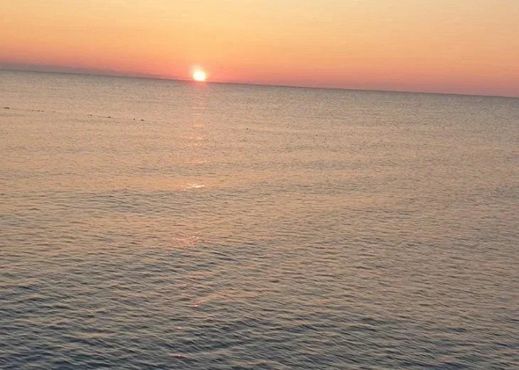 Этот организм появился в океане еще до изобретения электричества? Рыба, которая не спешит умирать Море