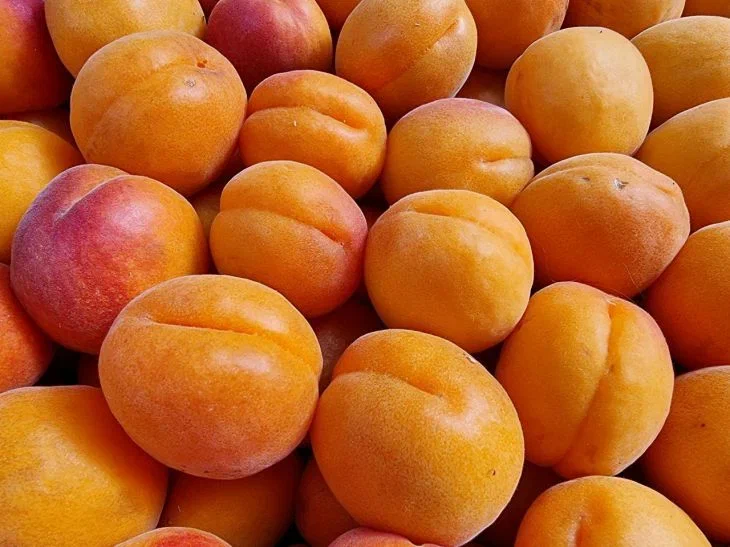 Абрикосы