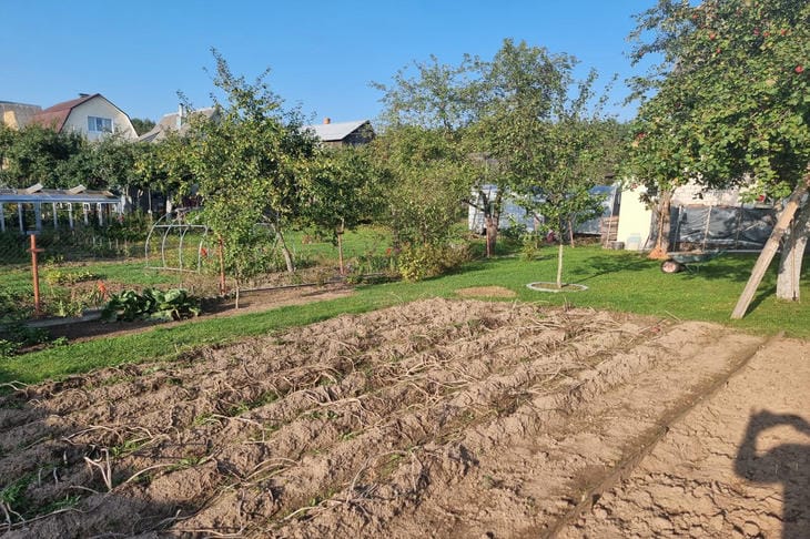 Лунный календарь — обман: как звезды влияют на урожай больше, чем вы думаете огород