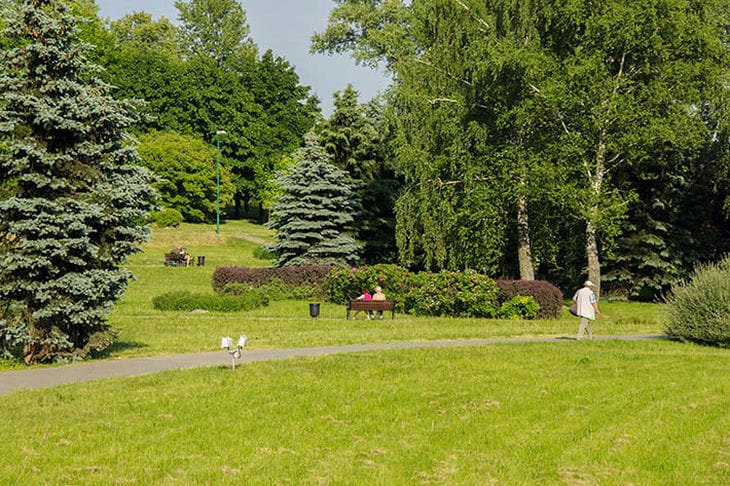 Какой сегодня праздник: 27 мая 2025 года Парк