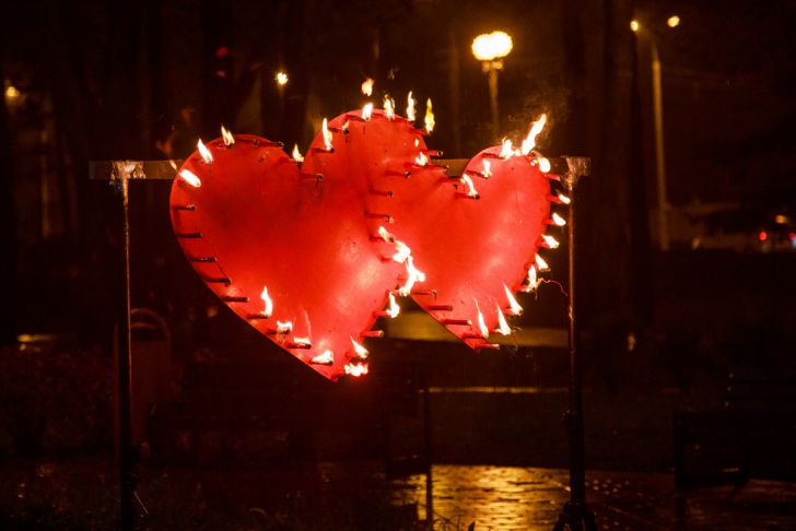 У какого животного сердце бьется 1200 раз в минуту? Вы удивитесь сердца