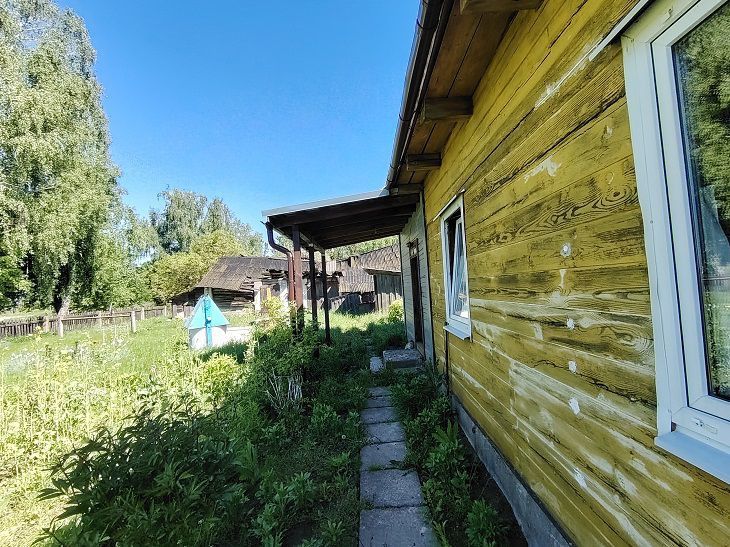 Сосна – не вариант для вашего дома. Это дерево выбирают все: не гниет, не боится сырости, прослужит столетия дом