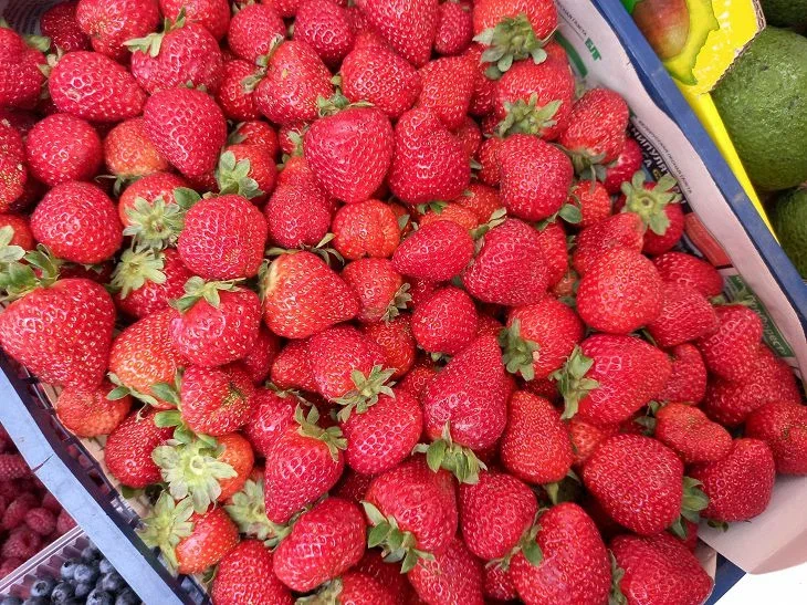 Собрали первый урожай клубники и сидите довольные? Это ошибка большинства дачников Клубника