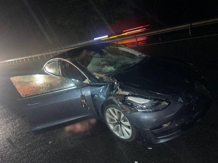В Минском районе Tesla столкнулась с тремя лосями: последствия весьма серьезные автомобиль