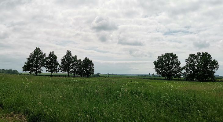 Скоро похолодает? Погодные приметы на 27 июня 2025 года природа