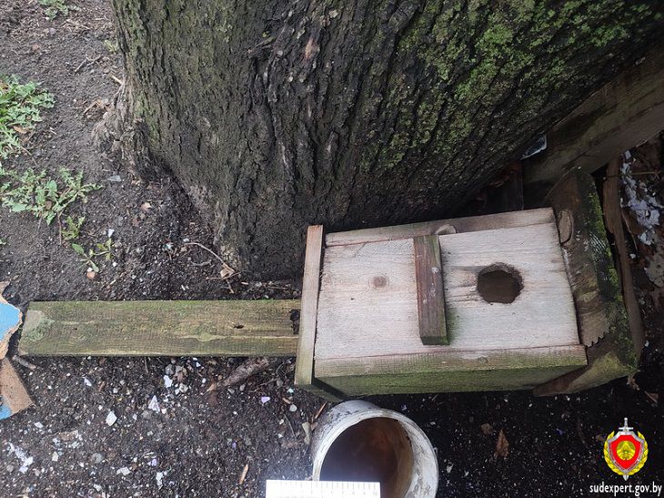 скворечник