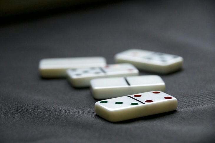 Белка разрушила самую высокую в мире башню из домино: как это было Домино