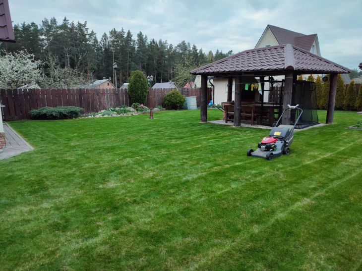 Как использовать скошенную траву с пользой: не компост, а мгновенное удобрение для грядок газон