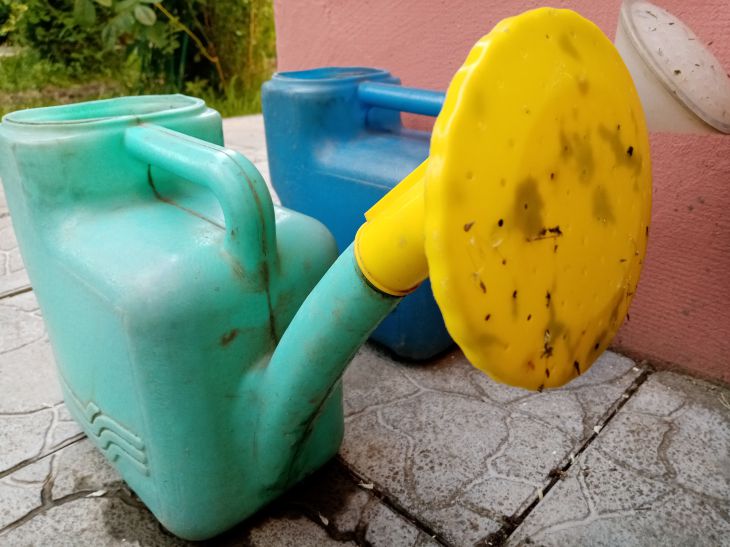 Зачем опытные дачники кладут яичную скорлупу в лейку: секрет, который работает лучше магазинных удобрений лейки