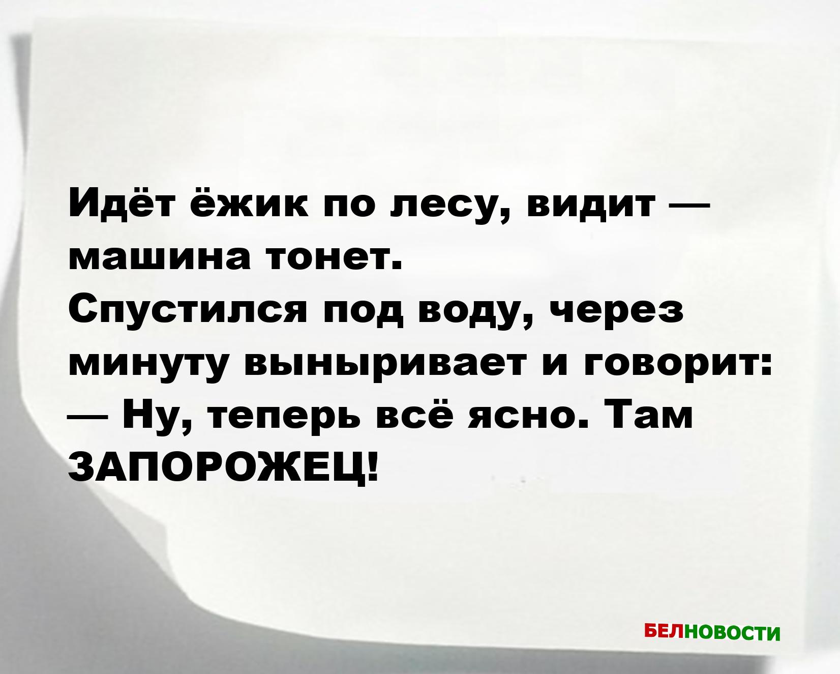 Свежие анекдоты и юмор за 20 Августа 2025