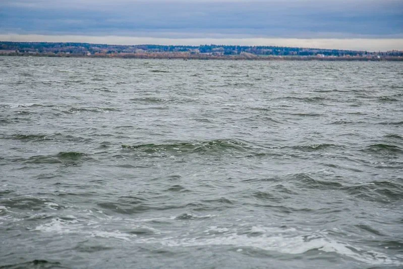 Стая медуз остановила работу крупнейшей французской АЭС Море