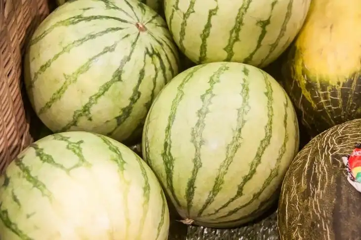 Арбузы