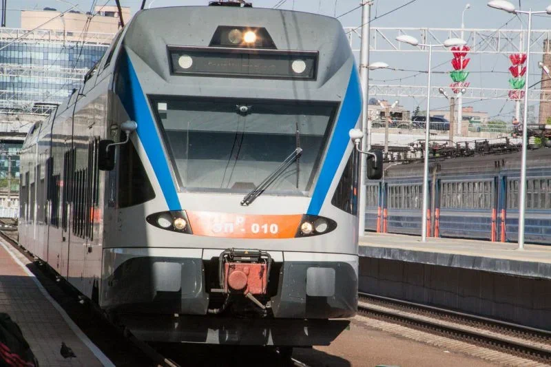 Лось стал причиной опоздания поезда Мозырь - Минск Поезд