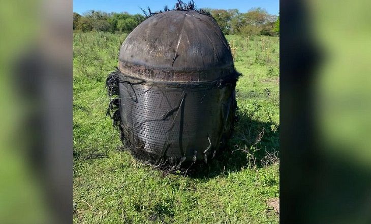 Неопознанный волосатый объект приземлился на ферму: никто не может понять – что это предмет