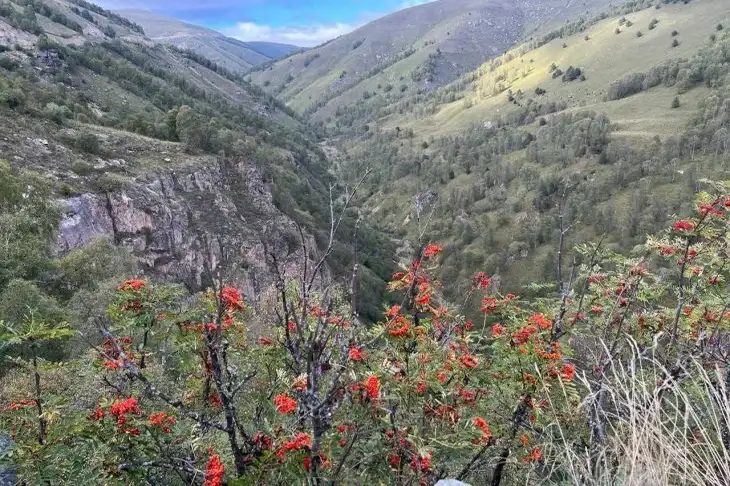 Землетрясение магнитудой 7,2 и угроза цунами: что происходит на Камчатке Горы