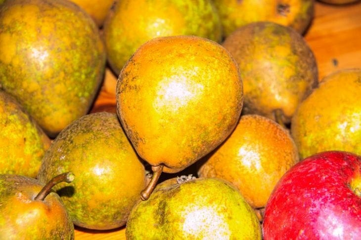 Из Беларуси пытались незаконно вывезти 40 тонн груш: фрукты ехали в Россию Груши