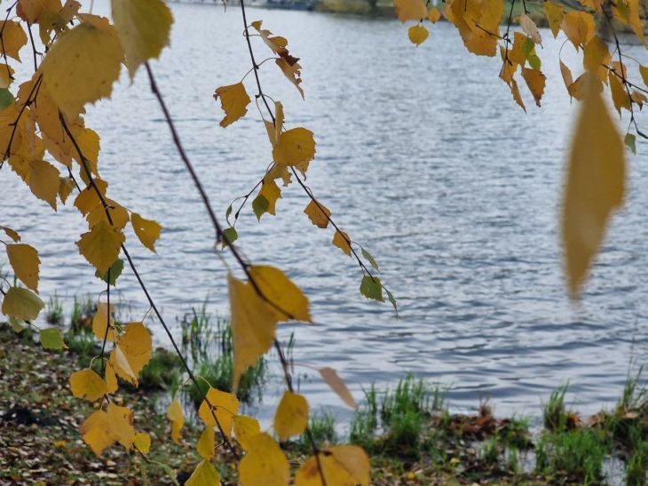 Ночью холод, днем жара. Какой будет первая осенняя неделя в Беларуси озеро