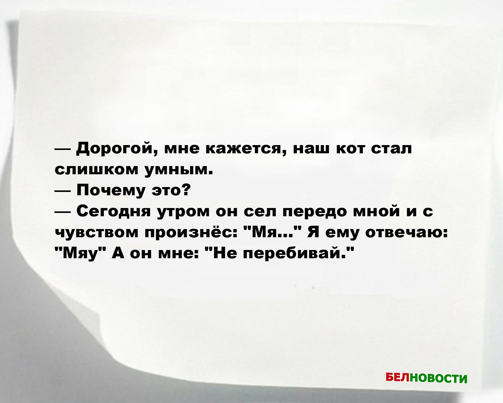 Свежие анекдоты и юмор за 8 Октября 2025 Свежие анекдоты и юмор за 8 Октября 2025