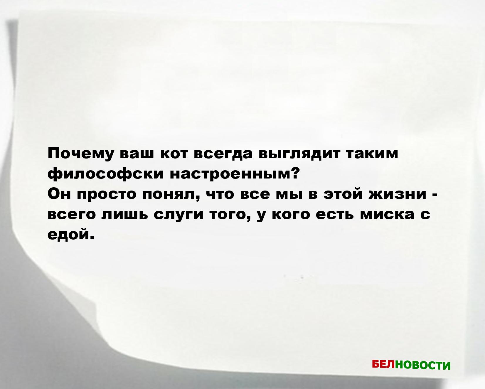 Свежие анекдоты и юмор за 15 Октября 2025 Свежие анекдоты и юмор за 15 Октября 2025