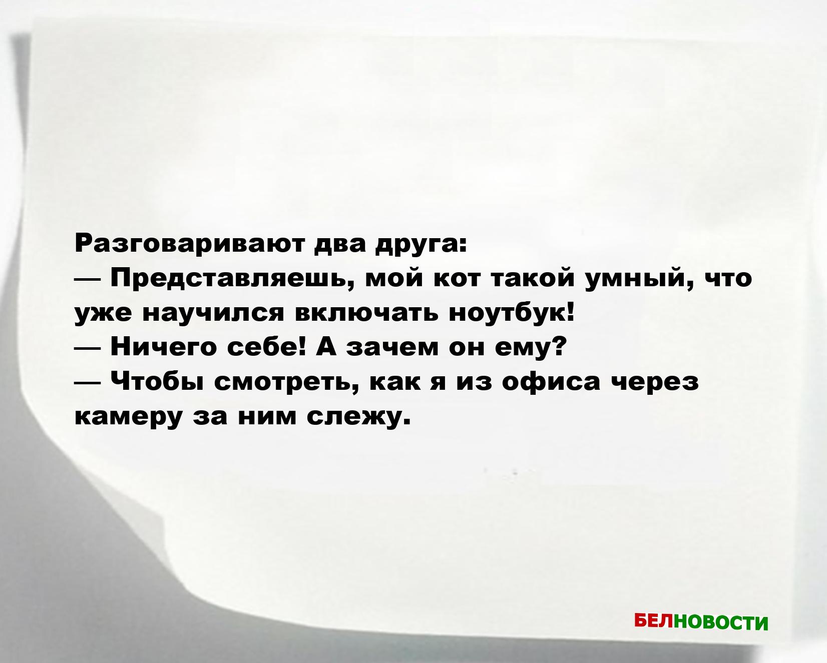 Свежие анекдоты и юмор за 30 Октября 2025 Свежие анекдоты и юмор за 30 Октября 2025