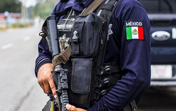 Жуткая находка в Мексике: в лесу обнаружили десятки мешков с человеческими останками Полиция