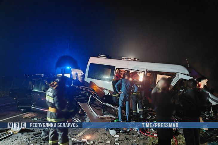 По факту ДТП с маршруткой в Светлогорском районе возбуждено уголовное дело ДТП