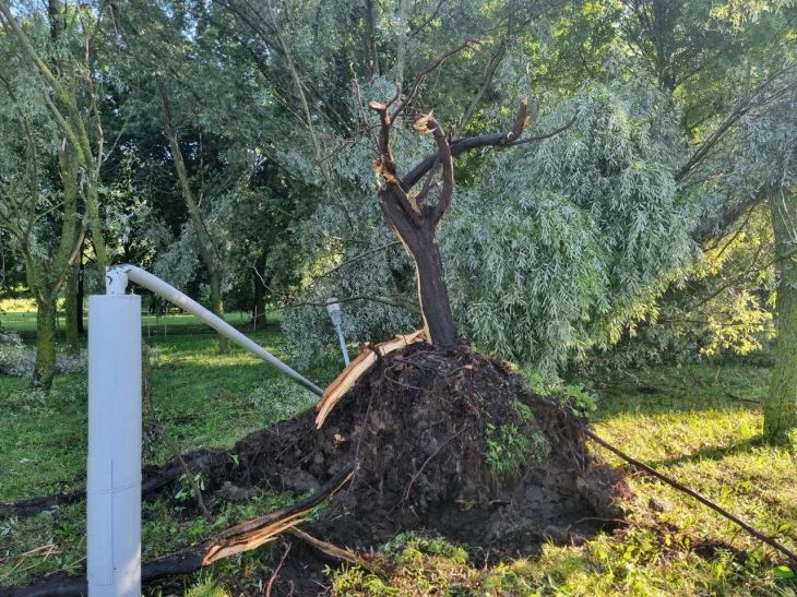 Оранжевый уровень опасности ждет белорусов в воскресенье: к чему приготовиться Дерево