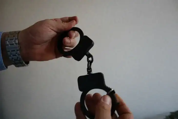 Главного агронома из Пинского района осудили за хищение гербицидов на 1,2 тысячи рублей: каков приговор Наручники