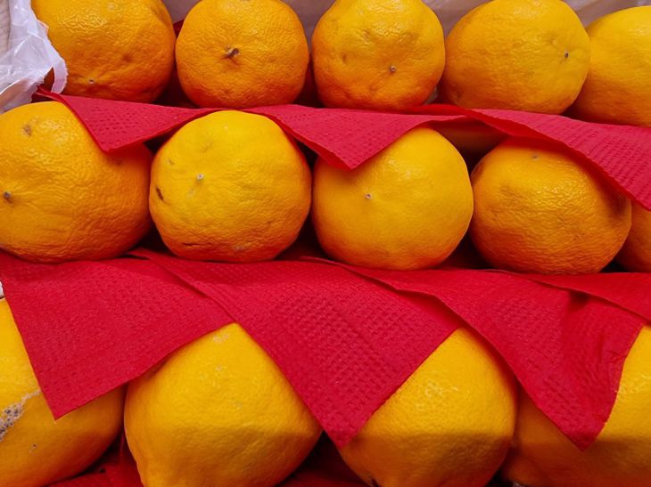 Что делает с организмом стакан воды с лимоном натощак: 5 причин, по которым от этой привычки стоит отказаться немедленно лимон